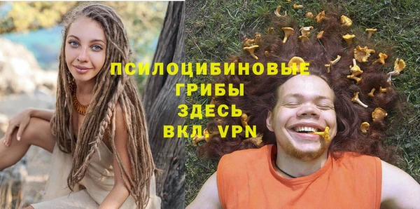крисы Новокубанск