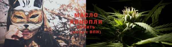 крисы Новокубанск