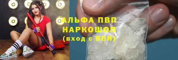 крисы Новокубанск