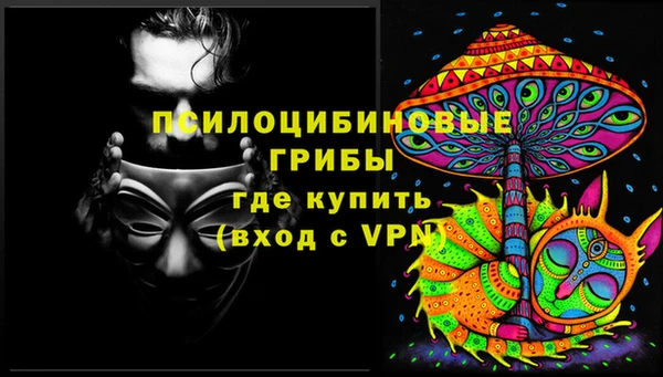 крисы Новокубанск