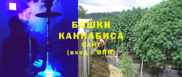 крисы Новокубанск