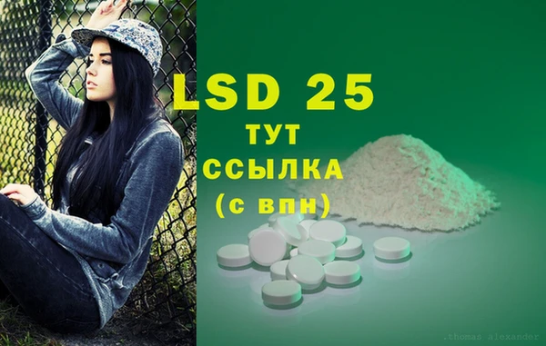 крисы Новокубанск