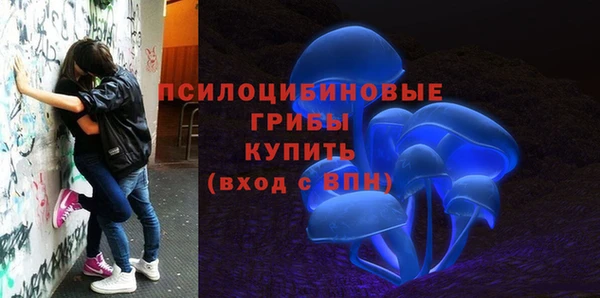 крисы Новокубанск