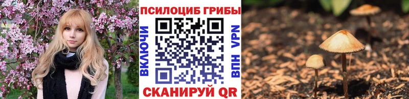 Псилоцибиновые грибы GOLDEN TEACHER  площадка как зайти  Полярные Зори 